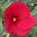 Profile picture marcime.bsky.social