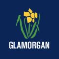 Profile picture glamcricket.bsky.social