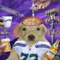 Profile picture seahawksnerd75.bsky.social