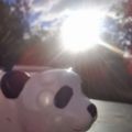 Profile picture pigiesmum.bsky.social