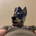 Profile picture axlthepup.bsky.social
