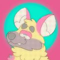 Profile picture sundaewilddoggo.bsky.social