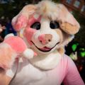 Profile picture neapolitanpuppy.bsky.social