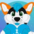 Profile picture hifihusky.bsky.social