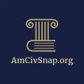 Profile picture amcivsnap.org