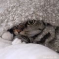 Profile picture mona1.bsky.social