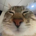 Profile picture qls78976.bsky.social