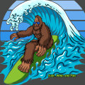 Profile picture surfwindandfire.bsky.social