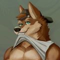 Profile picture yokaithewolf.bsky.social