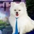 Profile picture garfieldandfiends.bsky.social