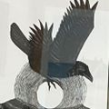 Profile picture rick55nj.bsky.social