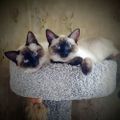 Profile picture clancey1234.bsky.social