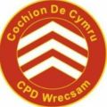 Profile picture cochiondecymru.bsky.social