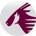 Profile picture qatarwings.bsky.social