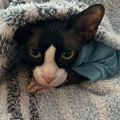Profile picture fredenb.bsky.social