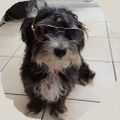 Profile picture gezzer3115.bsky.social