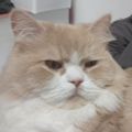 Profile picture prnprnprn.bsky.social