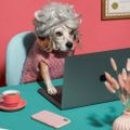 Profile picture grouchygramma.bsky.social
