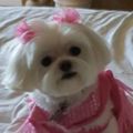 Profile picture gulliaz.bsky.social