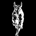 Profile picture dogubomb.bsky.social