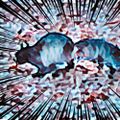 Profile picture its-the-squirrels.bsky.social