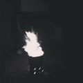 Profile picture forthdimentions.bsky.social