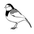 Profile picture makiwaraneko.bsky.social