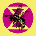 Profile picture xrglobal.bsky.social
