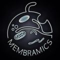 Profile picture membramics-lab.bsky.social