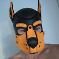 Profile picture pupmiloberlin.bsky.social