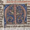 Profile picture monicamedhist.bsky.social