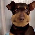 Profile picture spoosh08.bsky.social