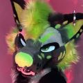 Profile picture tazwoofer.bsky.social