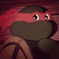 Profile picture thepinkturtle.bsky.social