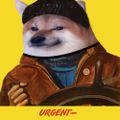 Profile picture saltydogfella.bsky.social
