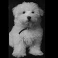 Profile picture katemcclanaghan.bsky.social