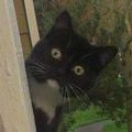 Profile picture violethobgoblin262.bsky.social
