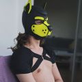 Profile picture pupmirio.bsky.social