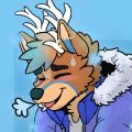 Profile picture deerthatstinks.bsky.social