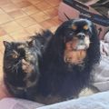 Profile picture lilou57.bsky.social