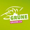 Profile picture gruenech.bsky.social