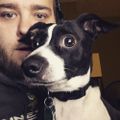Profile picture mikemerritt.me