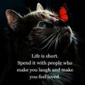Profile picture mamaduke721.bsky.social