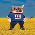 Profile picture quispfella.bsky.social