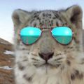 Profile picture sneptech.bsky.social