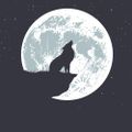 Profile picture phulkdadon.bsky.social