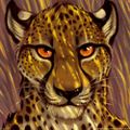 Profile picture jasiri.de