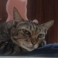 Profile picture ujb58.bsky.social