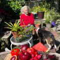 Profile picture dietitianonline.bsky.social