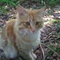Profile picture ludwigbockstieger.bsky.social